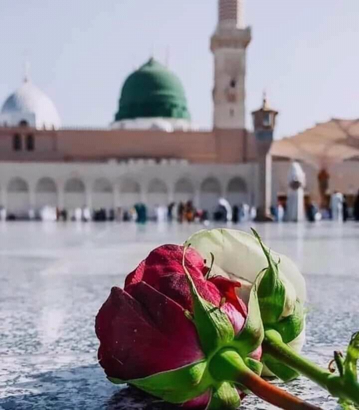 7 Days Umrah Package